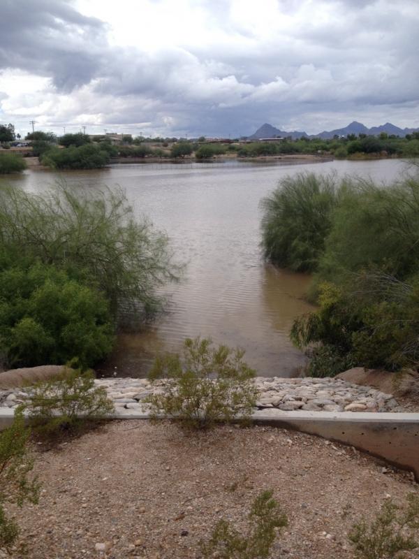 Name: ImageUploadedByTapatalk1412880941.985961.jpg
Views: 222
Size: 71.9 KB