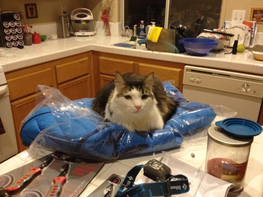 Name: ImageUploadedByTapatalk1413069921.026679.jpg
Views: 231
Size: 85.3 KB