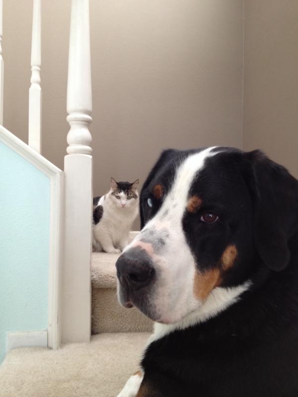 Name: ImageUploadedByTapatalk1413778879.559018.jpg
Views: 280
Size: 34.7 KB