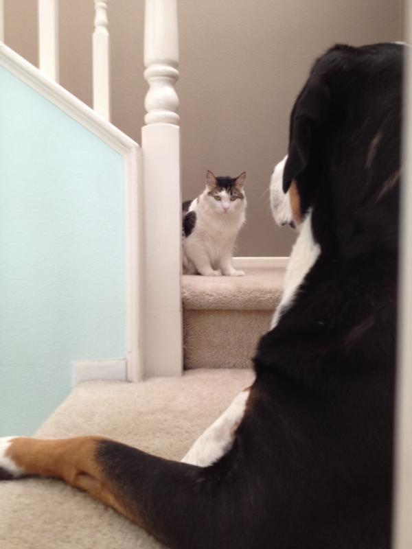 Name: ImageUploadedByTapatalk1413778897.677223.jpg
Views: 295
Size: 32.8 KB