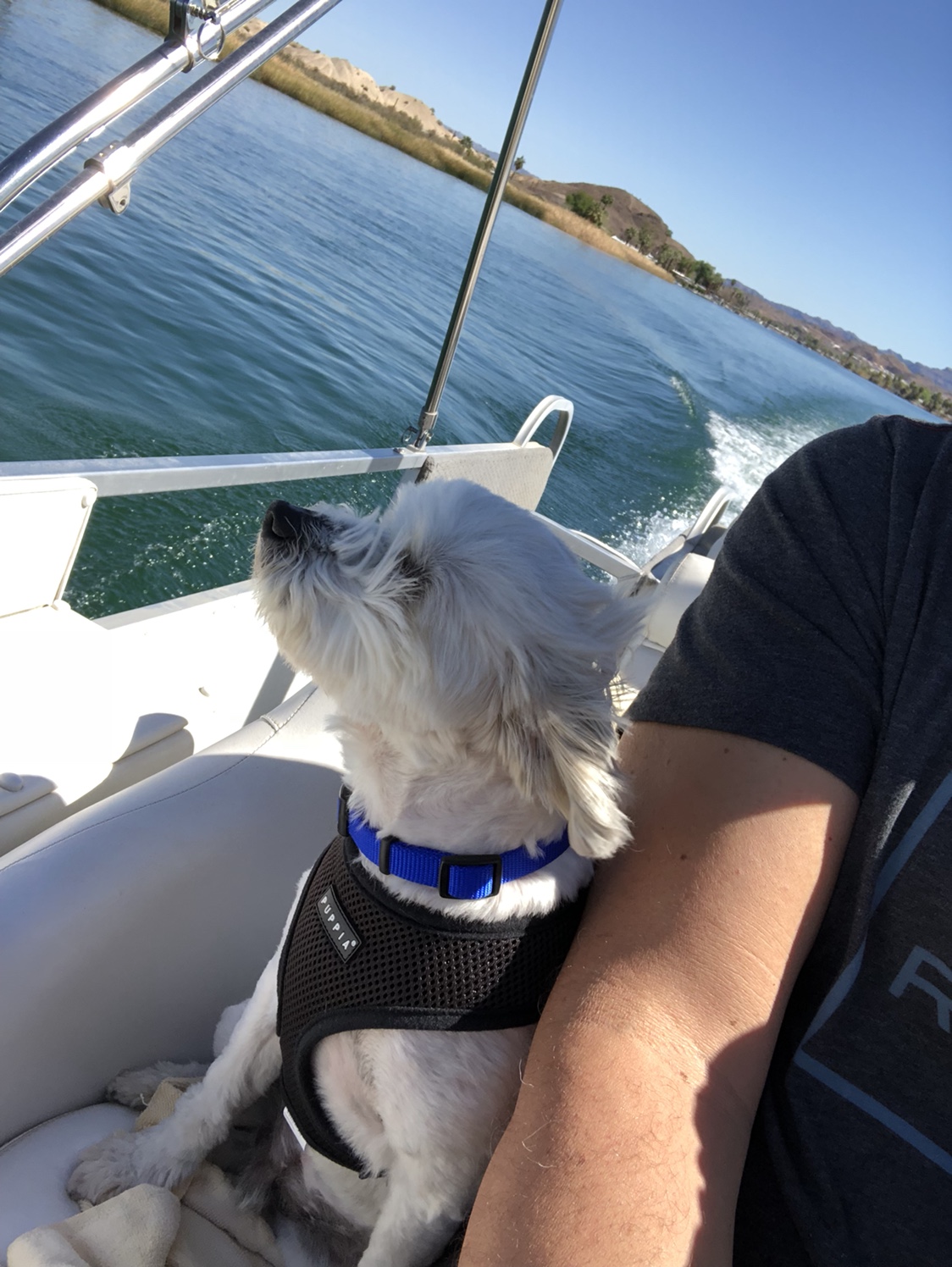 Name: IMG_1020.JPG
Views: 727
Size: 451.0 KB