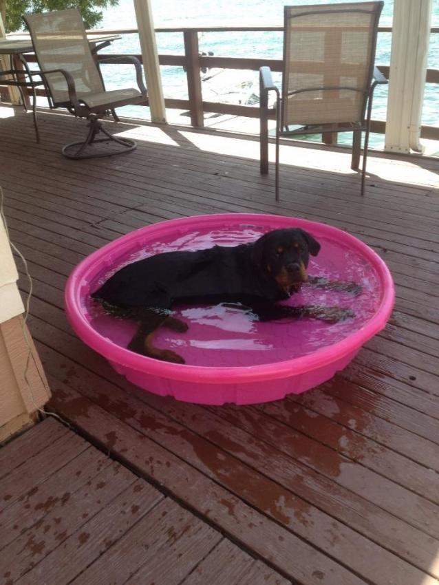 Name: ImageUploadedByTapatalk1367721030.721161.jpg
Views: 395
Size: 75.3 KB