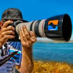 ocphotographics's Avatar ocphotographics's Avatar